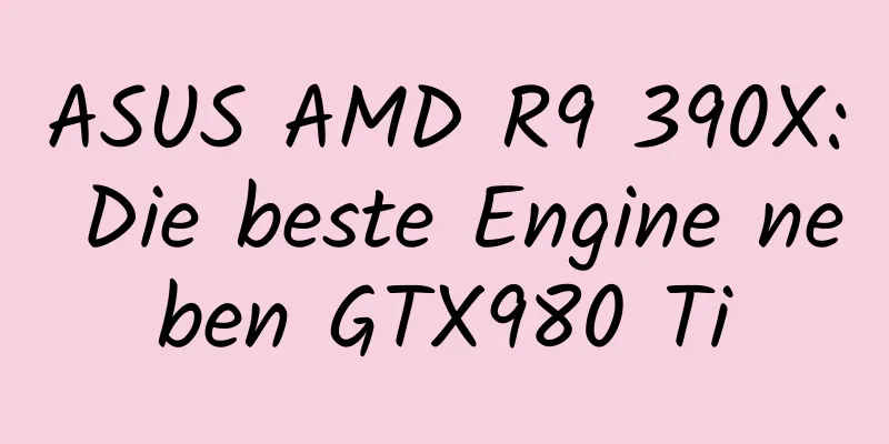 ASUS AMD R9 390X: Die beste Engine neben GTX980 Ti