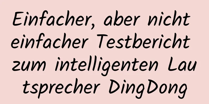 Einfacher, aber nicht einfacher Testbericht zum intelligenten Lautsprecher DingDong