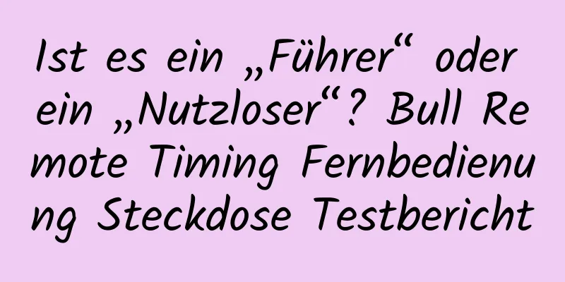 Ist es ein „Führer“ oder ein „Nutzloser“? Bull Remote Timing Fernbedienung Steckdose Testbericht