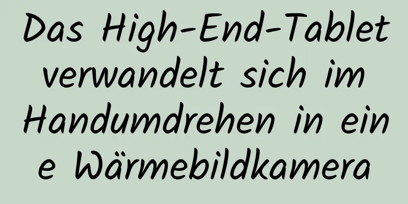 Das High-End-Tablet verwandelt sich im Handumdrehen in eine Wärmebildkamera