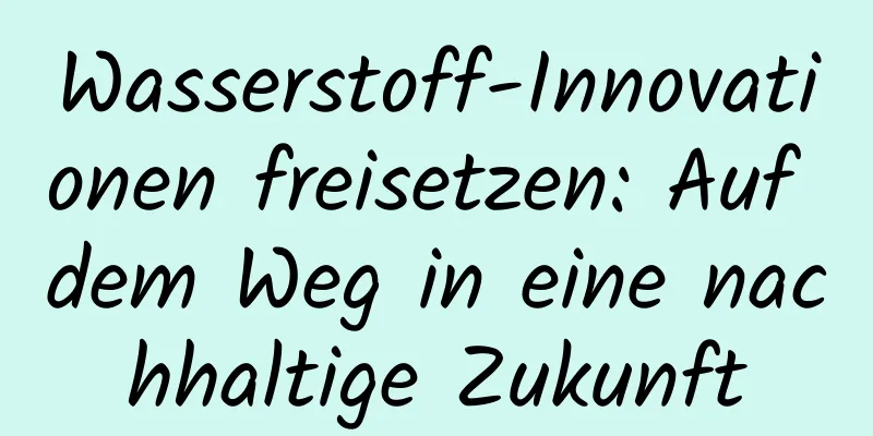 Wasserstoff-Innovationen freisetzen: Auf dem Weg in eine nachhaltige Zukunft