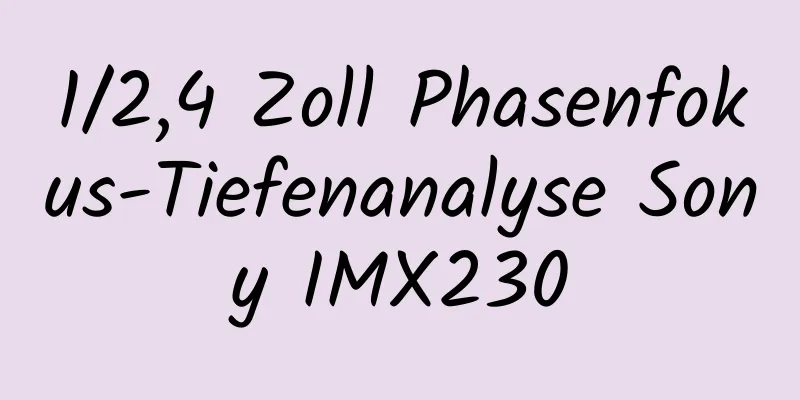 1/2,4 Zoll Phasenfokus-Tiefenanalyse Sony IMX230