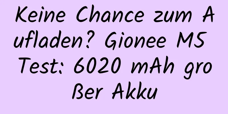 Keine Chance zum Aufladen? Gionee M5 Test: 6020 mAh großer Akku