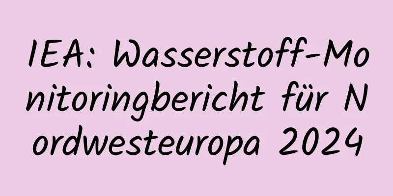 IEA: Wasserstoff-Monitoringbericht für Nordwesteuropa 2024