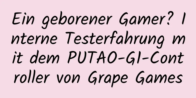 Ein geborener Gamer? Interne Testerfahrung mit dem PUTAO-G1-Controller von Grape Games