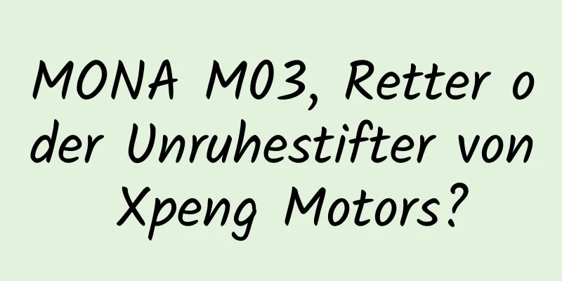 MONA M03, Retter oder Unruhestifter von Xpeng Motors?