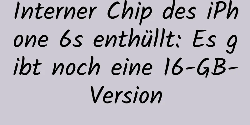 Interner Chip des iPhone 6s enthüllt: Es gibt noch eine 16-GB-Version