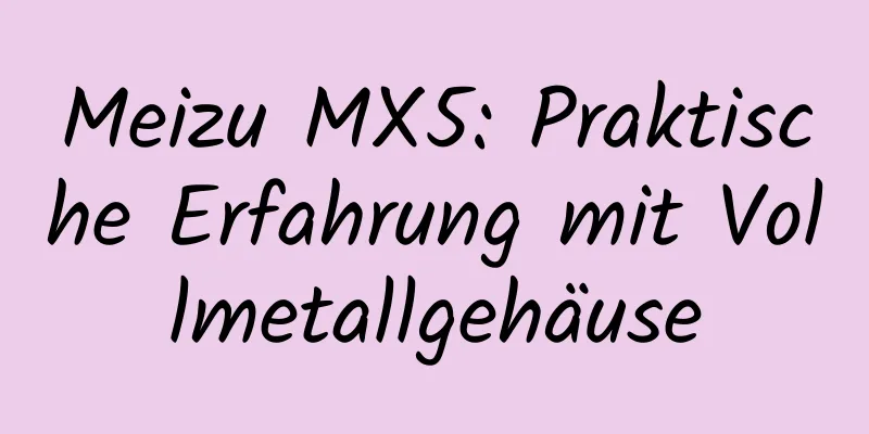 Meizu MX5: Praktische Erfahrung mit Vollmetallgehäuse