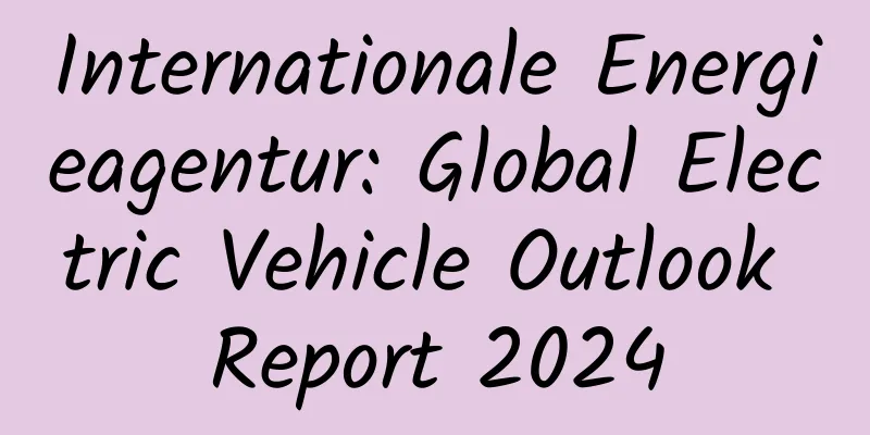 Internationale Energieagentur: Global Electric Vehicle Outlook Report 2024