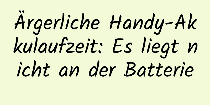 Ärgerliche Handy-Akkulaufzeit: Es liegt nicht an der Batterie
