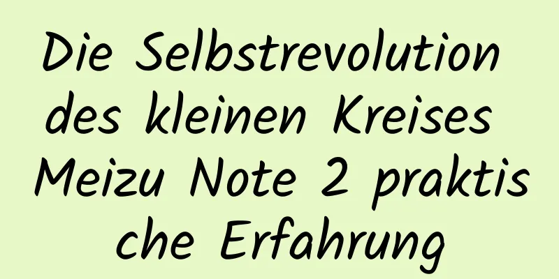Die Selbstrevolution des kleinen Kreises Meizu Note 2 praktische Erfahrung