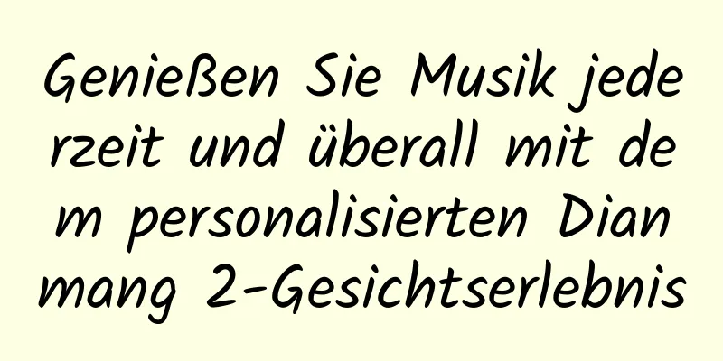 Genießen Sie Musik jederzeit und überall mit dem personalisierten Dianmang 2-Gesichtserlebnis