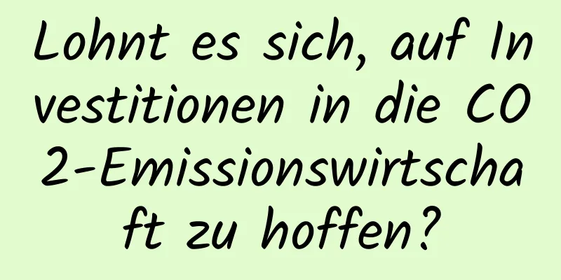 Lohnt es sich, auf Investitionen in die CO2-Emissionswirtschaft zu hoffen?