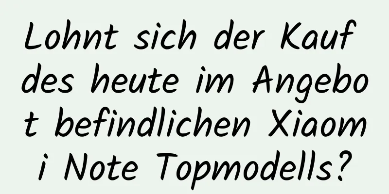 Lohnt sich der Kauf des heute im Angebot befindlichen Xiaomi Note Topmodells?