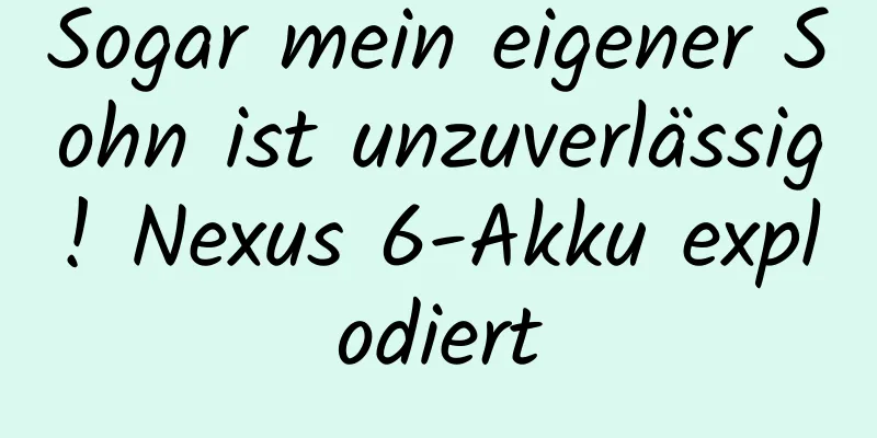 Sogar mein eigener Sohn ist unzuverlässig! Nexus 6-Akku explodiert