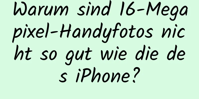 Warum sind 16-Megapixel-Handyfotos nicht so gut wie die des iPhone?