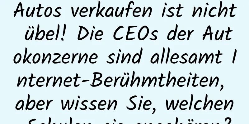 Autos verkaufen ist nicht übel! Die CEOs der Autokonzerne sind allesamt Internet-Berühmtheiten, aber wissen Sie, welchen Schulen sie angehören?