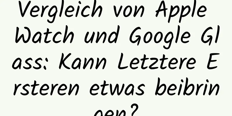 Vergleich von Apple Watch und Google Glass: Kann Letztere Ersteren etwas beibringen?