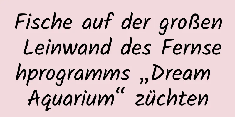 Fische auf der großen Leinwand des Fernsehprogramms „Dream Aquarium“ züchten