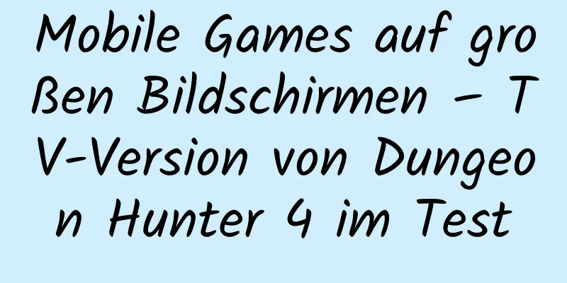 Mobile Games auf großen Bildschirmen – TV-Version von Dungeon Hunter 4 im Test