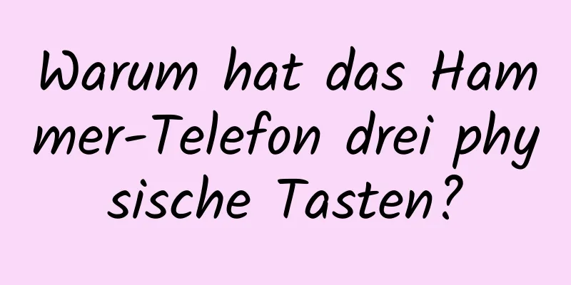 Warum hat das Hammer-Telefon drei physische Tasten?