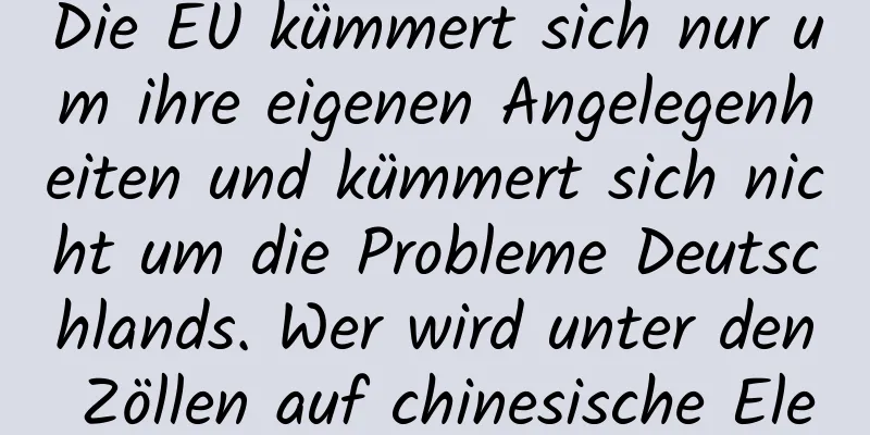 Die EU kümmert sich nur um ihre eigenen Angelegenheiten und kümmert sich nicht um die Probleme Deutschlands. Wer wird unter den Zöllen auf chinesische Elektrofahrzeuge leiden?