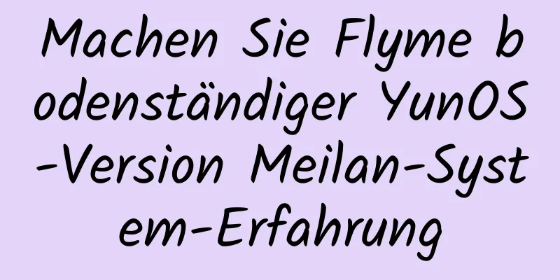 Machen Sie Flyme bodenständiger YunOS-Version Meilan-System-Erfahrung