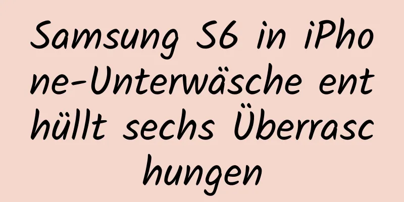 Samsung S6 in iPhone-Unterwäsche enthüllt sechs Überraschungen