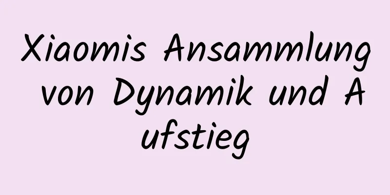 Xiaomis Ansammlung von Dynamik und Aufstieg