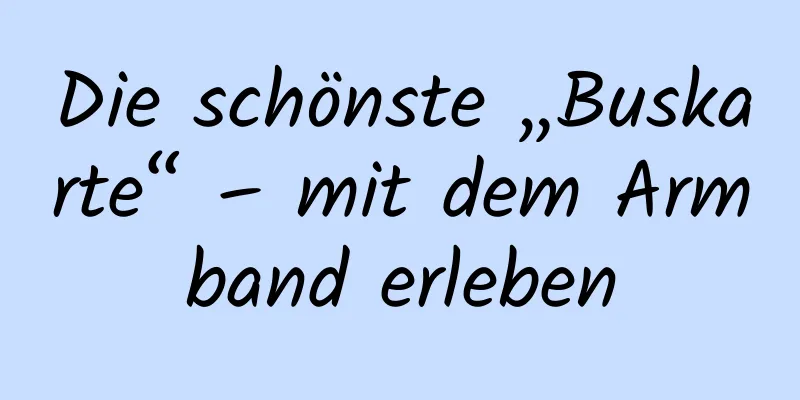 Die schönste „Buskarte“ – mit dem Armband erleben