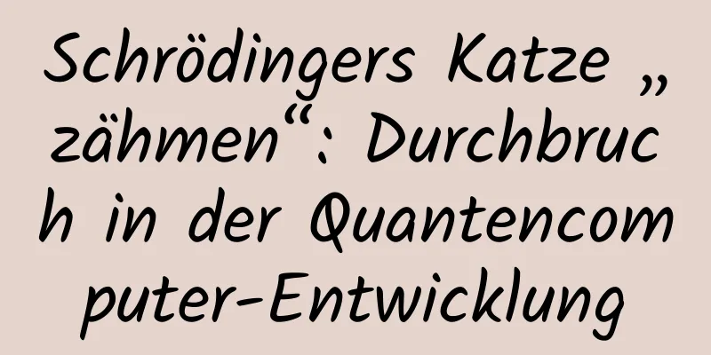 Schrödingers Katze „zähmen“: Durchbruch in der Quantencomputer-Entwicklung