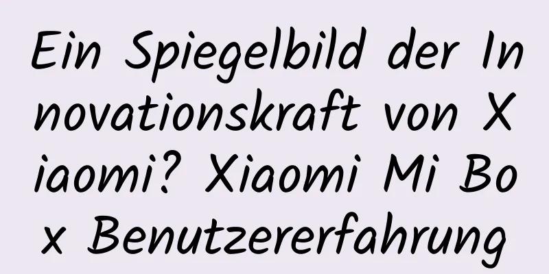 Ein Spiegelbild der Innovationskraft von Xiaomi? Xiaomi Mi Box Benutzererfahrung