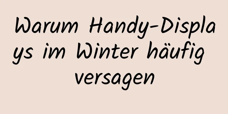 Warum Handy-Displays im Winter häufig versagen
