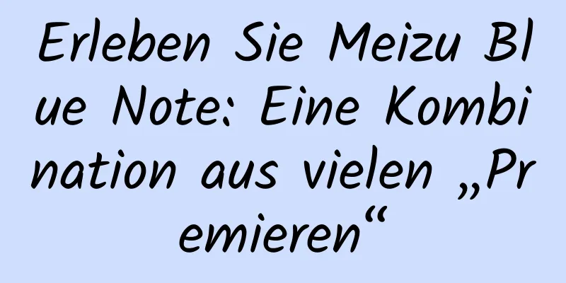 Erleben Sie Meizu Blue Note: Eine Kombination aus vielen „Premieren“