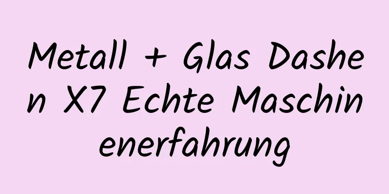 Metall + Glas Dashen X7 Echte Maschinenerfahrung