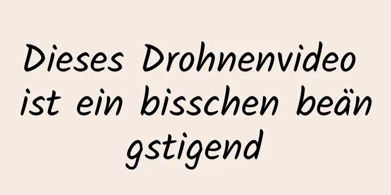 Dieses Drohnenvideo ist ein bisschen beängstigend