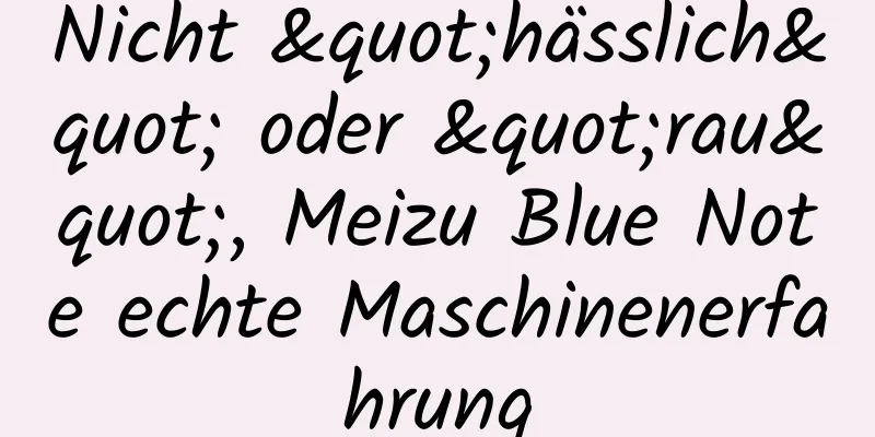 Nicht "hässlich" oder "rau", Meizu Blue Note echte Maschinenerfahrung