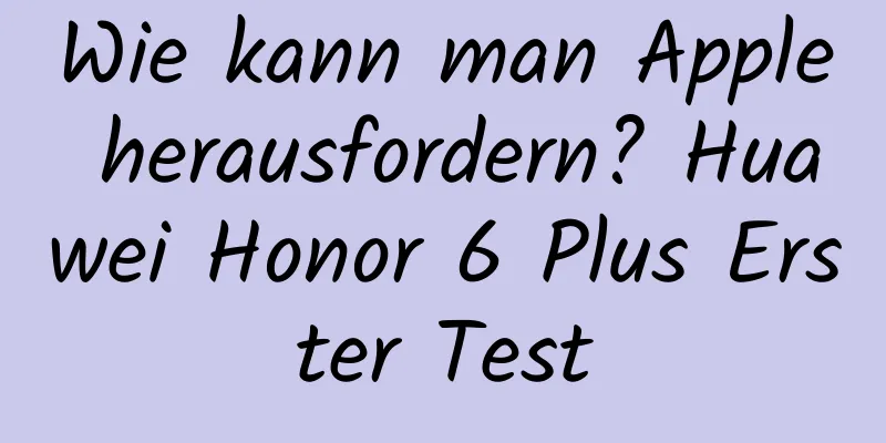 Wie kann man Apple herausfordern? Huawei Honor 6 Plus Erster Test