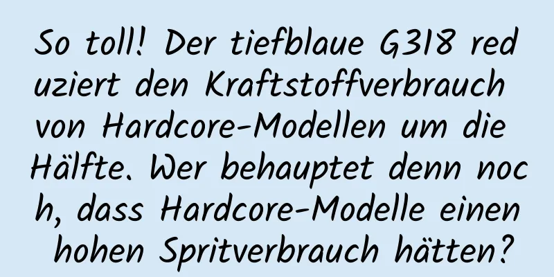 So toll! Der tiefblaue G318 reduziert den Kraftstoffverbrauch von Hardcore-Modellen um die Hälfte. Wer behauptet denn noch, dass Hardcore-Modelle einen hohen Spritverbrauch hätten?