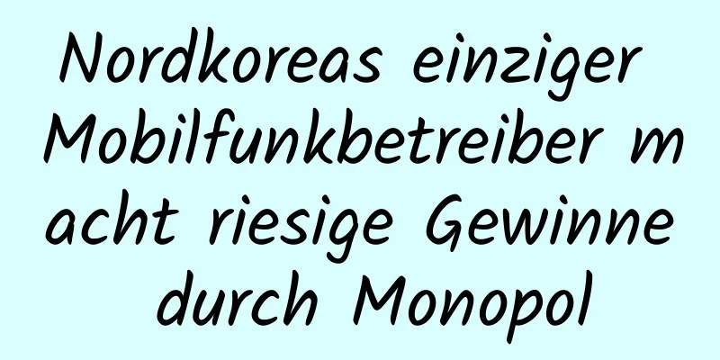 Nordkoreas einziger Mobilfunkbetreiber macht riesige Gewinne durch Monopol