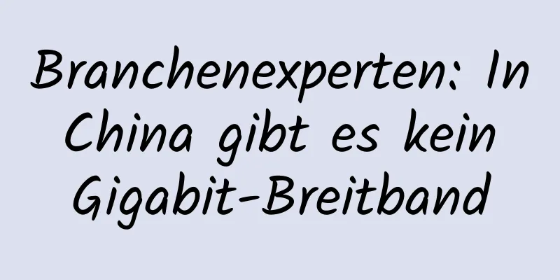 Branchenexperten: In China gibt es kein Gigabit-Breitband
