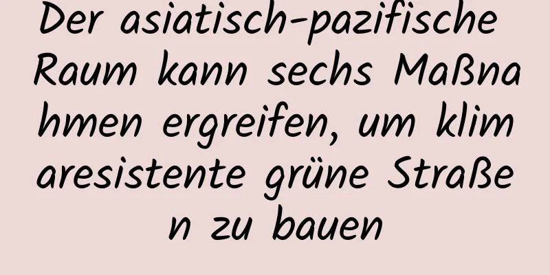 Der asiatisch-pazifische Raum kann sechs Maßnahmen ergreifen, um klimaresistente grüne Straßen zu bauen
