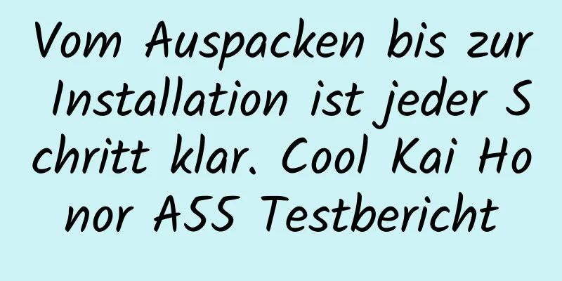 Vom Auspacken bis zur Installation ist jeder Schritt klar. Cool Kai Honor A55 Testbericht