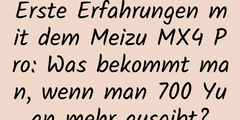 Erste Erfahrungen mit dem Meizu MX4 Pro: Was bekommt man, wenn man 700 Yuan mehr ausgibt?