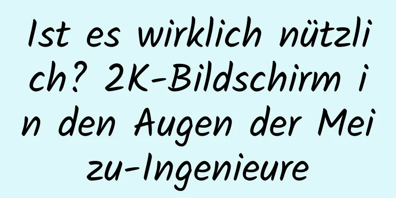 Ist es wirklich nützlich? 2K-Bildschirm in den Augen der Meizu-Ingenieure