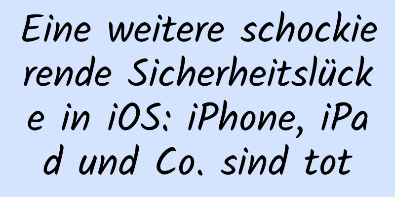 Eine weitere schockierende Sicherheitslücke in iOS: iPhone, iPad und Co. sind tot