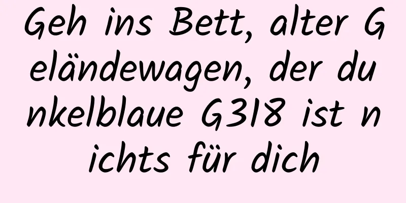 Geh ins Bett, alter Geländewagen, der dunkelblaue G318 ist nichts für dich