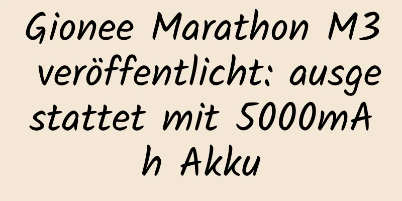 Gionee Marathon M3 veröffentlicht: ausgestattet mit 5000mAh Akku