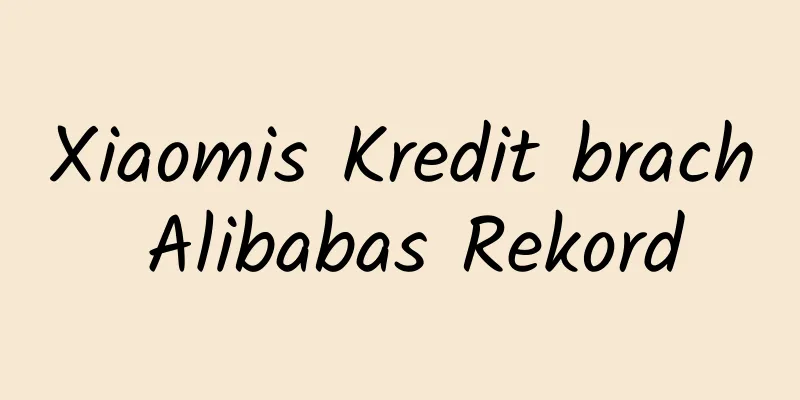 Xiaomis Kredit brach Alibabas Rekord