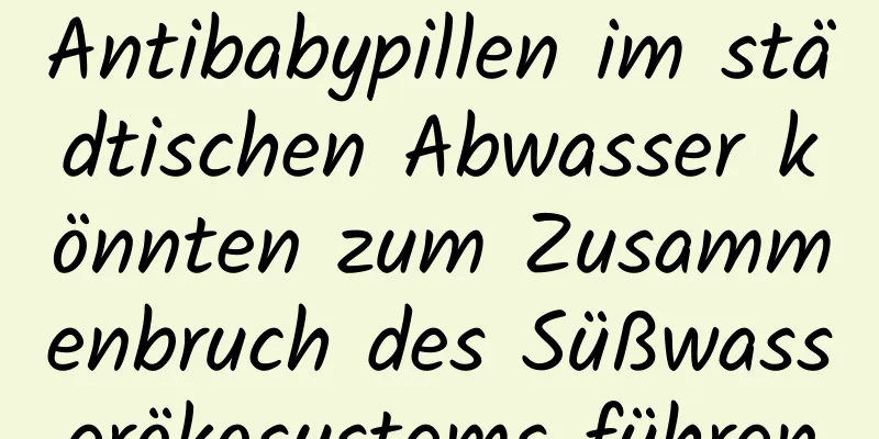 Antibabypillen im städtischen Abwasser könnten zum Zusammenbruch des Süßwasserökosystems führen